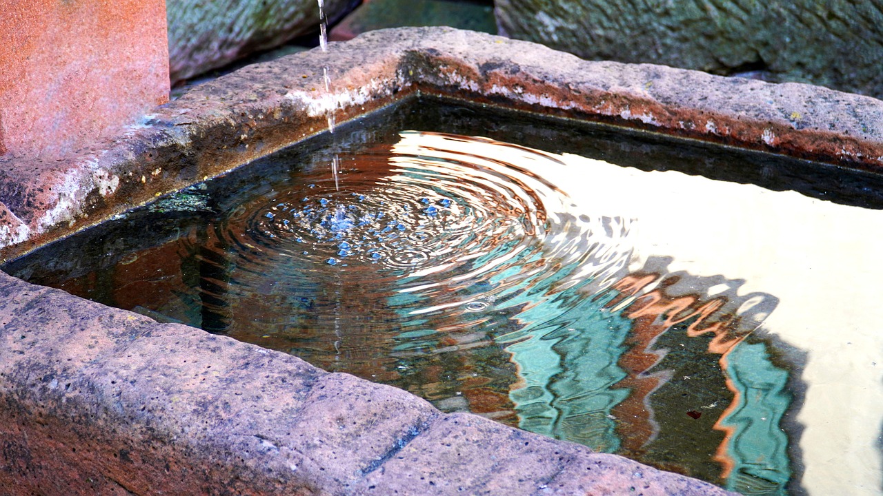 Fountain, nature, water — How to Get Free Likes on YouTube