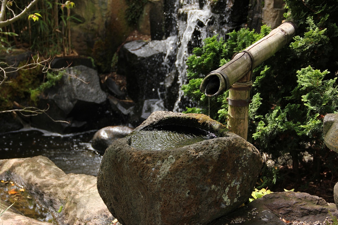 Japanese garden, water feature, timelessness — The Future Of Payments In A Post Pandemic World